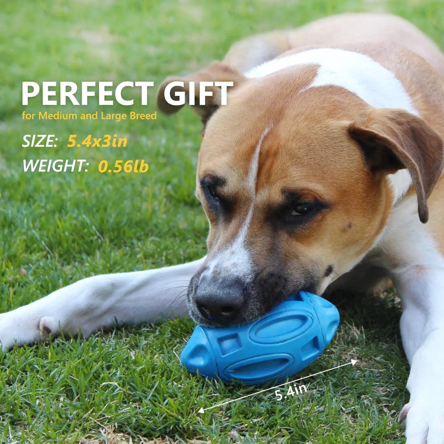 Squeaky Dog Toys for Aggressive Chewers Rubber Puppy Chew Ball Teeth Grinding Cleaning Durable Pet Toy for Medium Large Breed